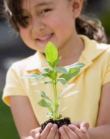 little girl holding a plant