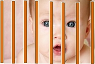Invisible Fences–Holding Me in or Holding You Out?