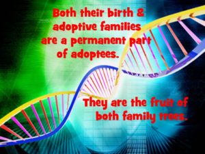 Adoption, Fear and the REAL Factor, Part 3, DNA Real factor
