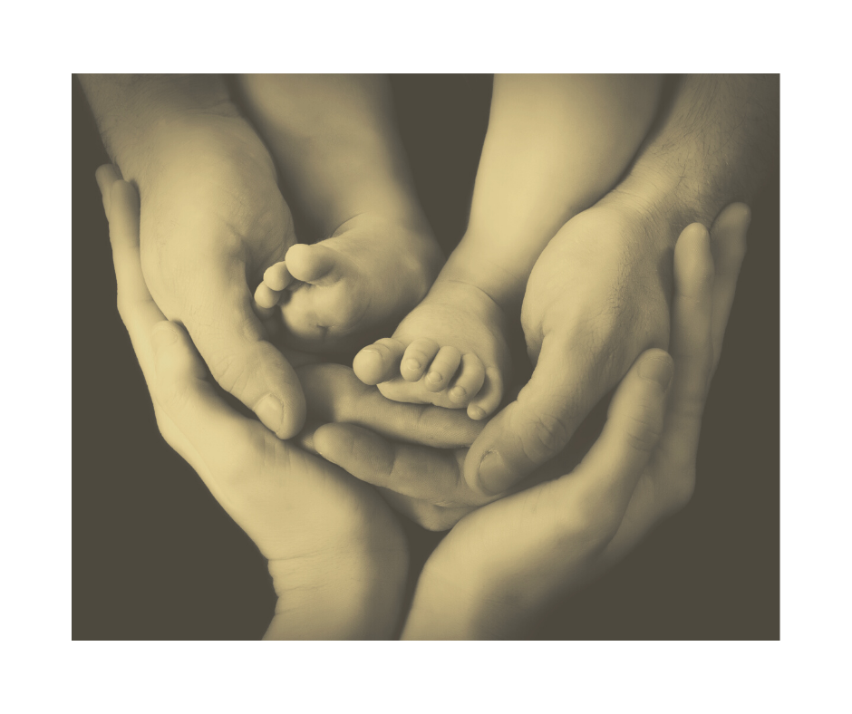 Adult hands gently holding a baby's feet.