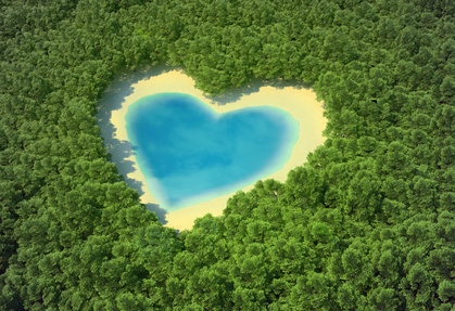 Heart-shaped pond in a tropical forest