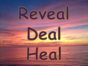 reveal Heal deal