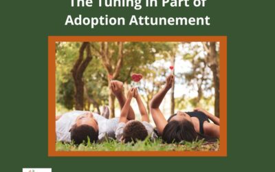 What Matters for Adoptive Families: the Tuning in Part of Adoption Attunement