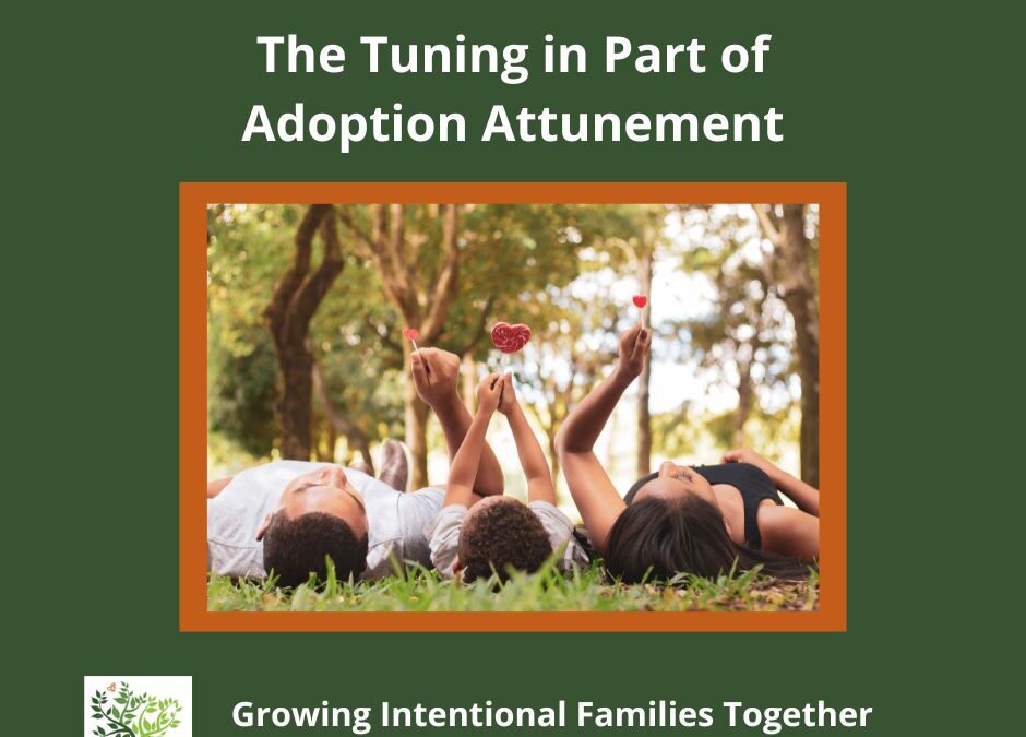 What Matters for Adoptive Families: the Tuning in Part of Adoption Attunement
