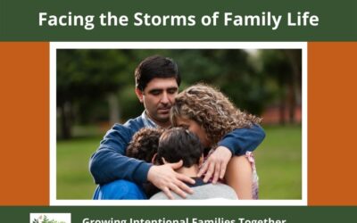 Facing the Storms of Family Life
