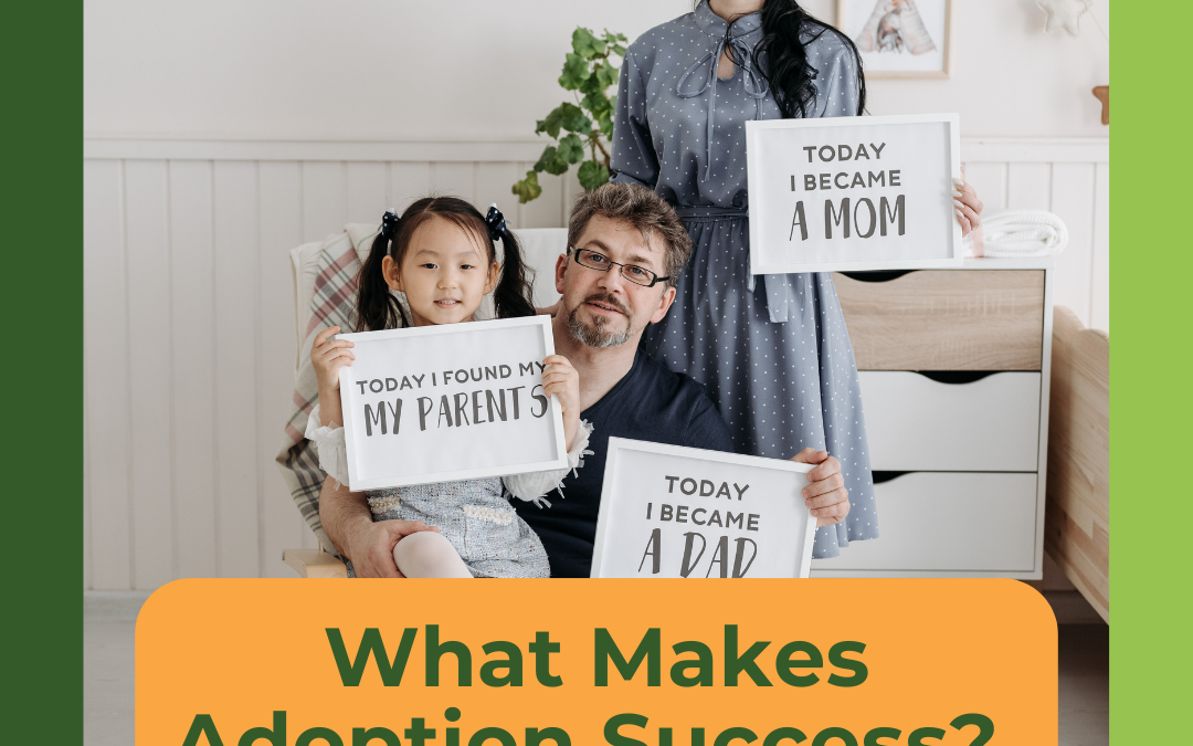 What Makes Adoption Success? Mini-Courses