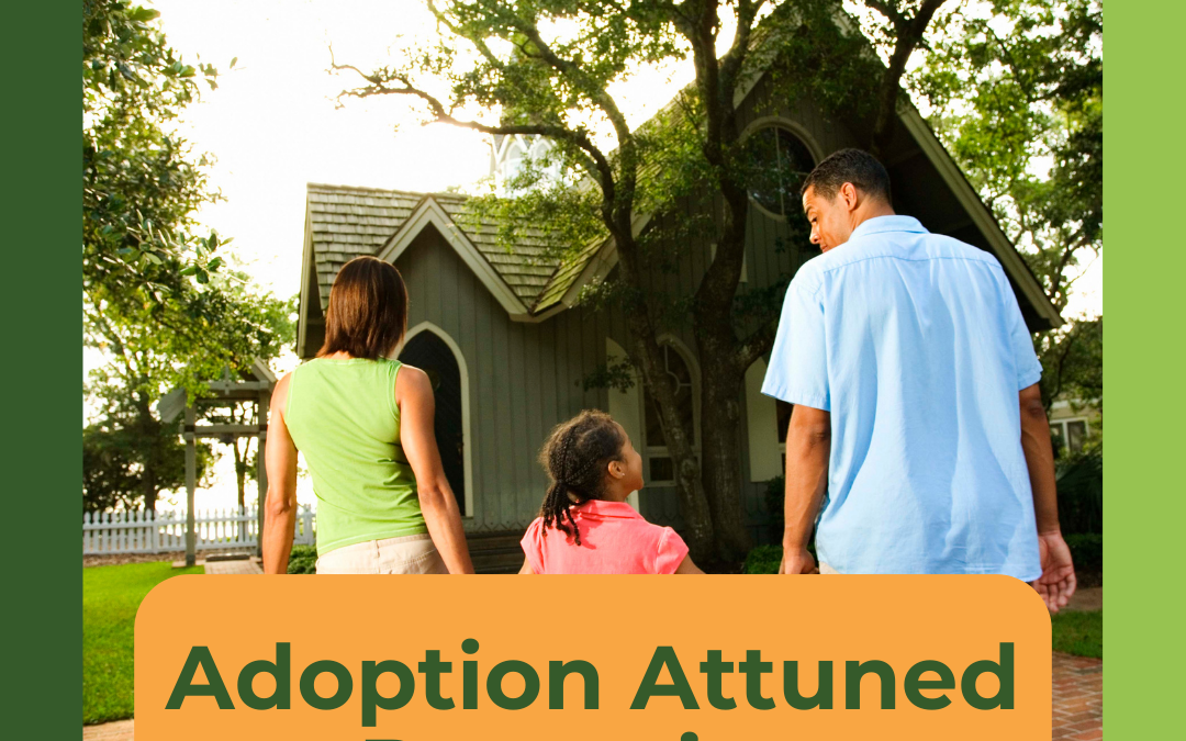 Adoption Attuned Parenting Mini-Course