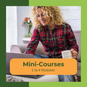 mini-courses
