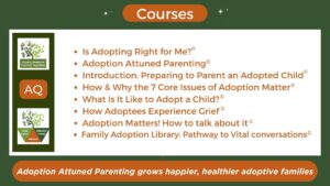 Adoptee grief and other courses 
