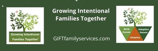 Adoption Attuned Parenting Is A Gift