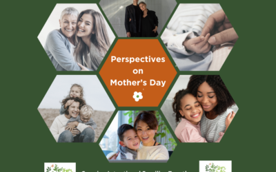 Adoption, Expectations, and Mothering