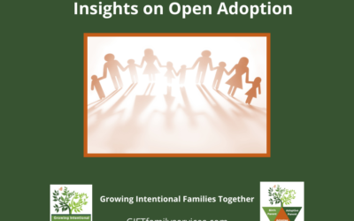 Insights on Open Adoptions