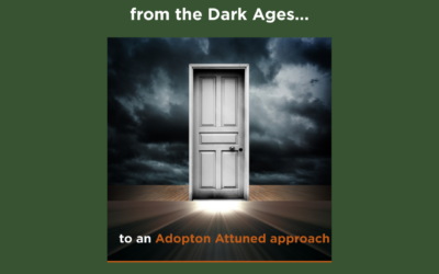 An Adoption Evolution: from the Dark Ages to an Adoption Attuned Approach