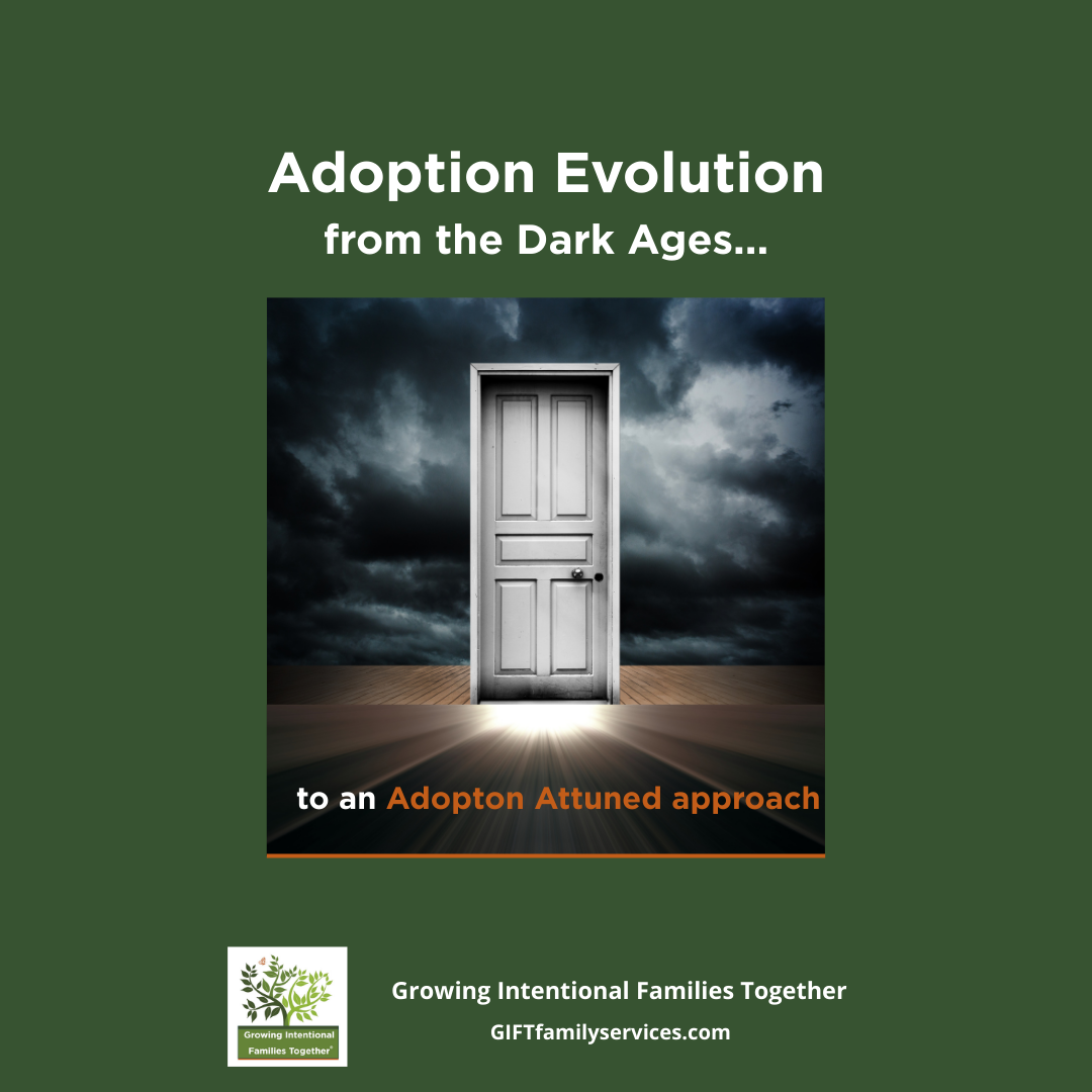 An Adoption Evolution: from the Dark Ages to an Adoption Attuned Approach