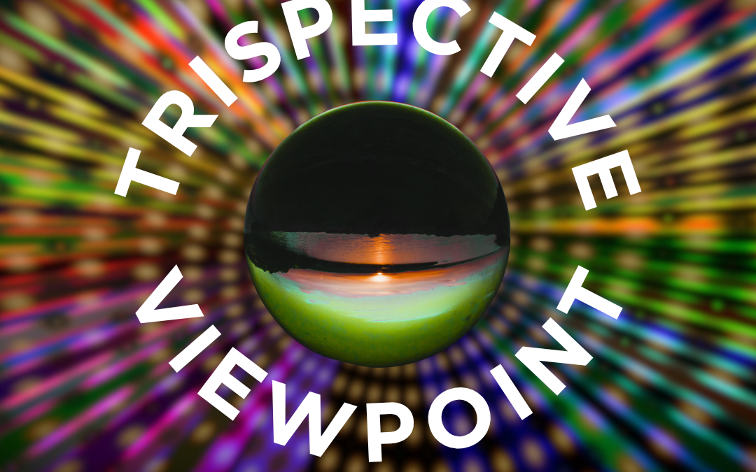 What the TriSpective Approach Taught Me About My Own Reunion