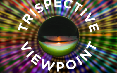 What the TriSpective Approach Taught Me About My Own Reunion