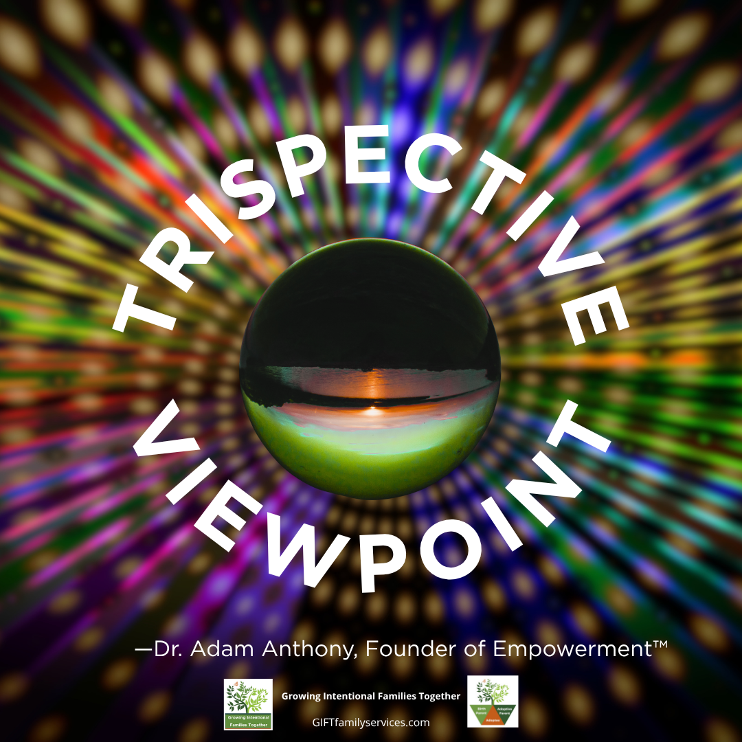What the TriSpective Approach Taught Me About My Own Reunion